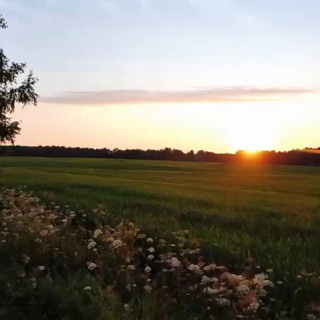 Логотип @panovofishin - KOLHOZ ENTERTAINMENT