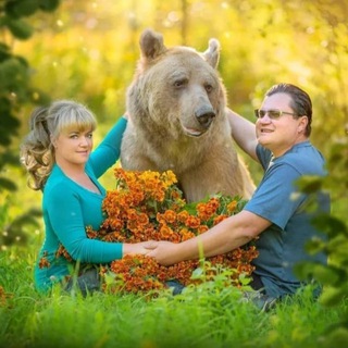 Логотип @panteleenko_sv - Stepan🐻Savva🐻TheBear