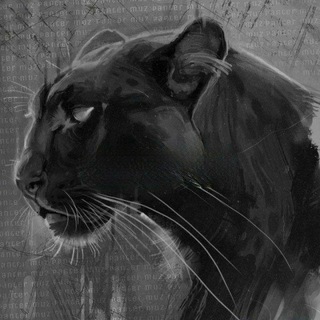 Логотип @pantera_muzuk - Pantera Muz 🥀 | Сохры | Музыка