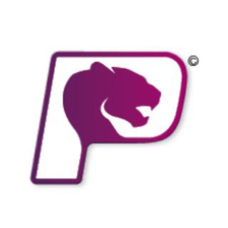 Логотип @pantercon_chat - Pantercon-Panterzone Chat