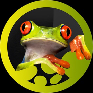 Логотип @panteric_zoo - Panteric 🐸 Экзотические Животные