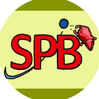 Логотип @pantini_spbex_news - Pantini SPBEX News