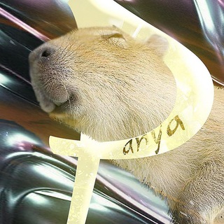 Логотип @panya0208gmd - КапиПаня 🍊