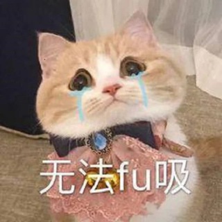 Логотип @paopaodog_group - 泡泡Dog | 十八线小机场 | 流媒体稳定