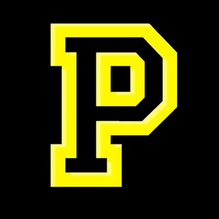 Логотип @papa_rostov61 - Ростов-Папа 61 | Новости