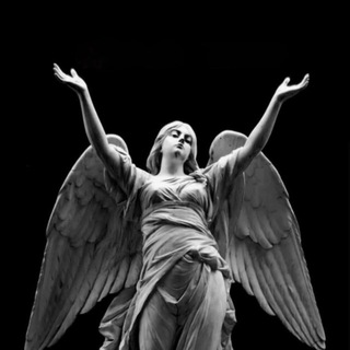 Логотип @papakeels1 - zGATTI