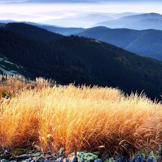 Логотип @papatalks - Агрегатор рациональности [С миру по нитке] (чат)