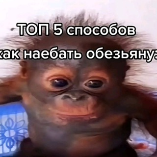 Логотип @papikssssss - отзывы рб papikss