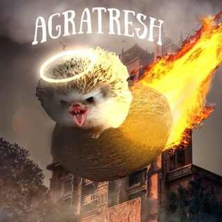 Логотип @papizdim - 💬Чат