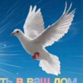 Логотип @paran0id_sh - ERR0R