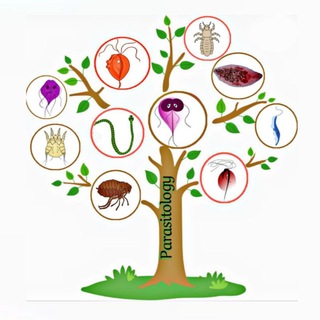 Логотип @parasitologyy - Parasitology