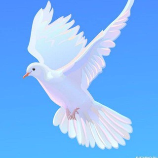 Логотип @parents_13 - Мордовия родителям