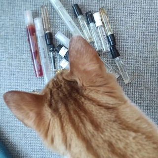 Логотип @parfkanal - Парфканалья