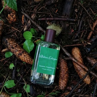 Логотип @parflusterconsumer - Парфлюбитель/Потребитель