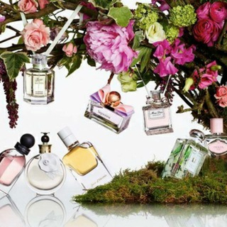 Логотип @parfume225 - Original Perfume