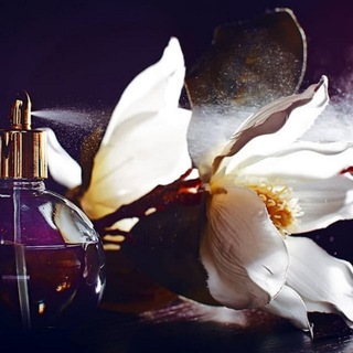 Логотип @parfumeexdreams - Parfume Dreams💖