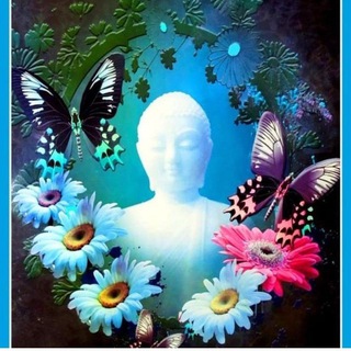 Логотип @parkbodhi - Парк Бодхи