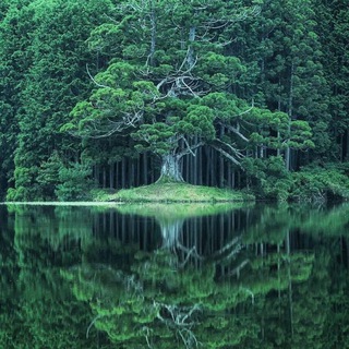 Логотип @parksworld - Парки мира