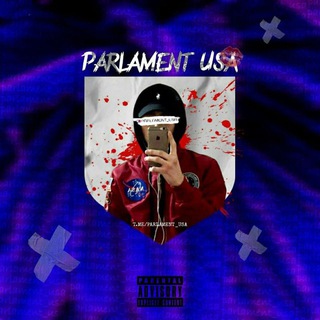 Логотип @parlament_usa - PARLAMENT USA 🇺🇸