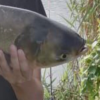 Логотип @parn_ava_uvu - Парные авы💕/на троих/на двоих/на друзей💕