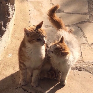 Логотип @parnie_avki - 💖