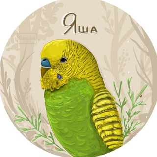 Логотип @parrotlife - 🦜 Волнистые попугайчики 🦜