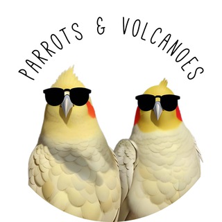 Логотип @parrotsandvolcanoes - Parrots and Volcanoes Store