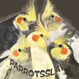 Логотип @parrotsslave - 🌾Parrot's slave🪵