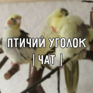 Логотип @parrrotschat - •Птичий уголок•Чат🌱