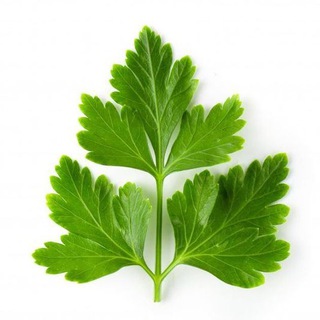 Логотип @parsleywork - вакансии // резюме // релокация // IT