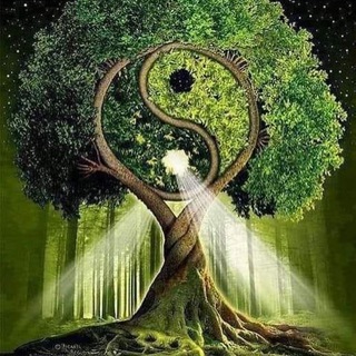 Логотип @parswrld - Парки