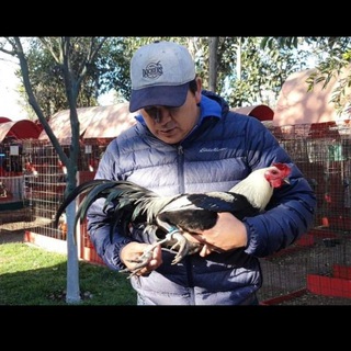 Логотип @partidosantabarbara - Partido Santa Bárbara-Mike Resendiz