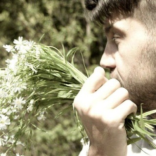 Логотип @partisan_ua - PARTISAN