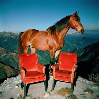 Логотип @parukresel - ПаРу КреСеЛ