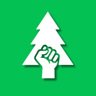 Логотип @pashkov_project - Проект «Русская Тайга»