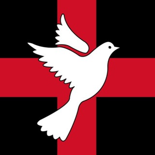 Логотип @pasmurnn - cfr|removal of subscribers