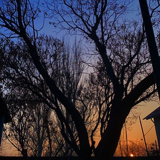 Логотип @passionchat - давай пиши