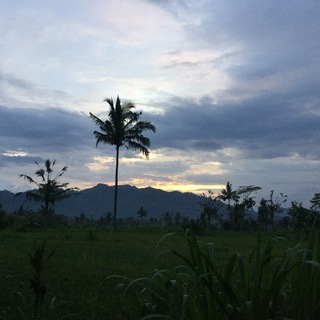 Логотип @pastilanabali_chat - Бали без фотошопа