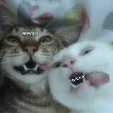 Логотип @pastyxvl11 - 𝙥𝙖𝙨𝙩𝙮𝙭𝙫𝙡