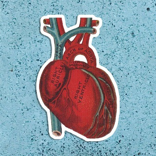 Логотип @patanatomiya_videourok - Патологическая анатомия