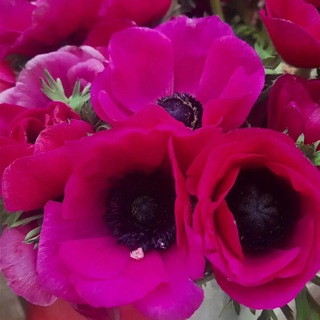 Логотип @path_to_your_charm - PATH TO YOUR CHARM