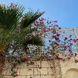 Логотип @patiencee_s - 𝚙𝚊𝚝𝚒𝚎𝚗𝚌𝚎