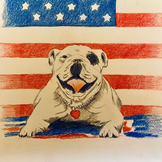 Логотип @patientadvocatebulldog - Patient Advocate Bulldog