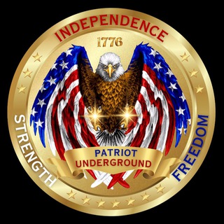 Логотип @patriotunderground2021 - Patriot Underground