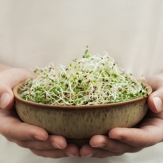 Логотип @patriziacoffaro - Patrizia Coffaro