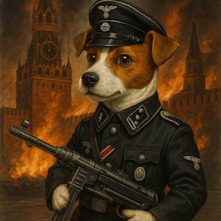 Логотип @patronews - ✙PATRONEWS✙