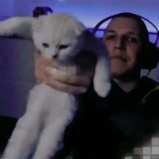 Логотип @patsankichatswq - чят