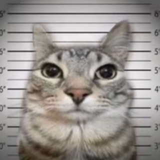 Логотип @pattekyx - Pattekyx