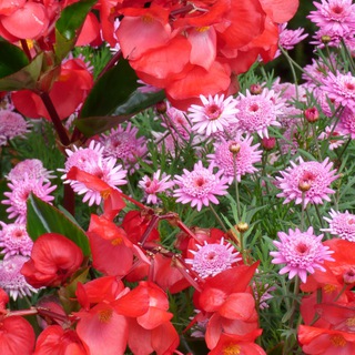 Логотип @paulasneueerde - Paulas Erkenntnisse für ein leichteres Leben