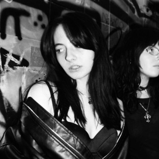 Логотип @paultaroot - полынь